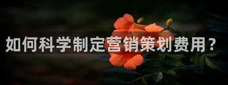 必赢手机app下载最新版本安卓苹果