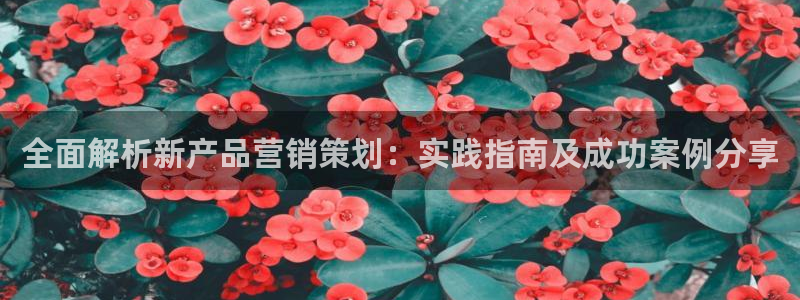 必赢手机app下载 最新版