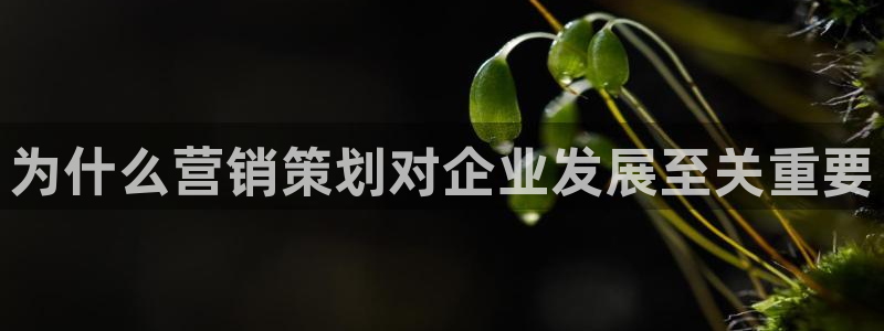 必赢官网下载安装最新版