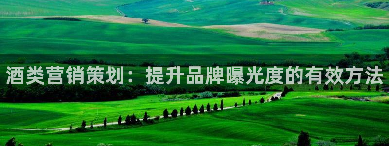 数30技巧必赢三个数