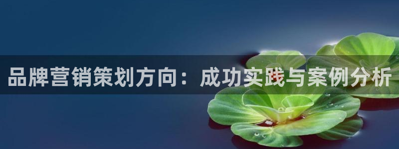 必赢官网入口下载app