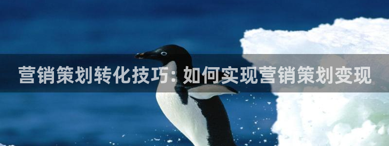 必赢国际437怎么样
