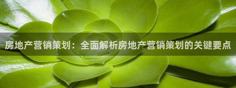 必赢网址手机主页打不开