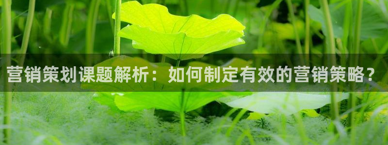 必赢3003平台