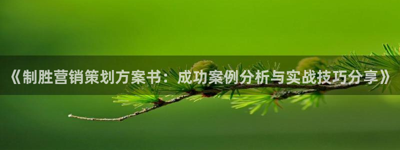 7321必赢安全吗