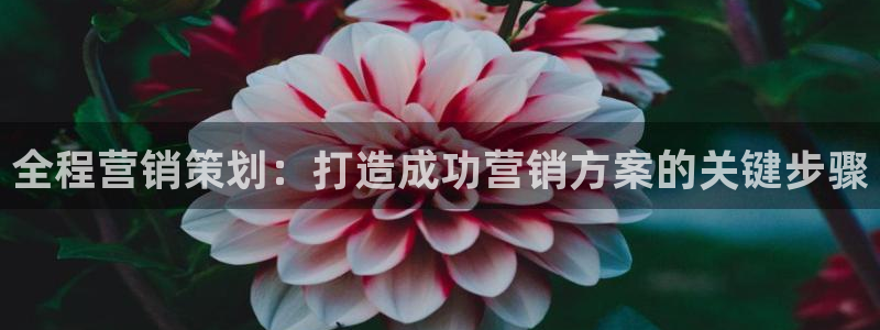 必赢网怎么打不开了呀