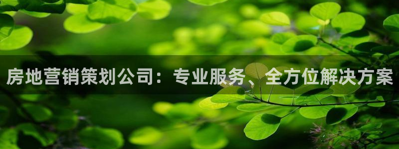 必赢net.95