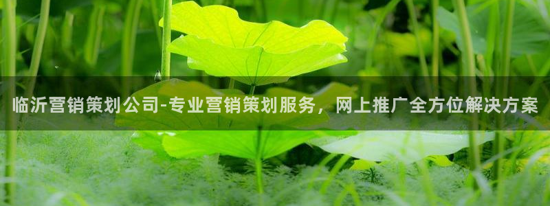 必赢下载安卓版官网