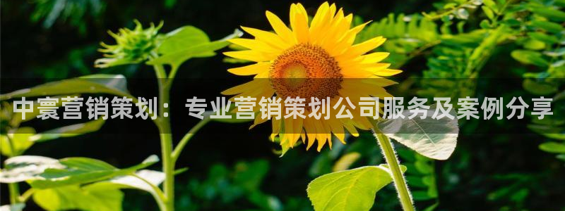 必赢平台网