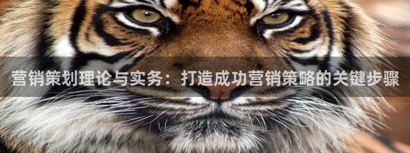 必赢手机版