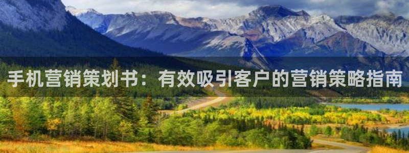 必赢app是干什么的