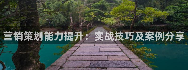 必赢最新