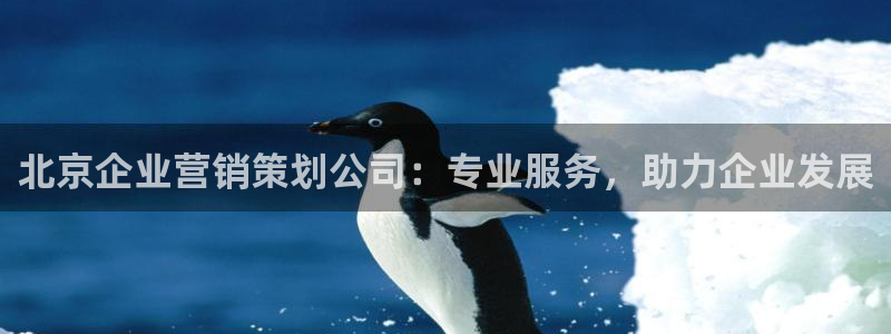 必赢公司