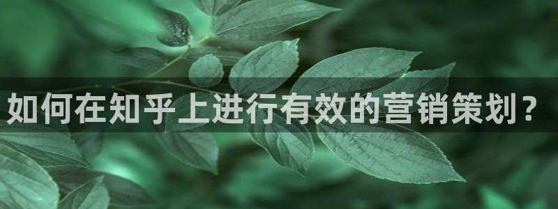 必赢官网下载app