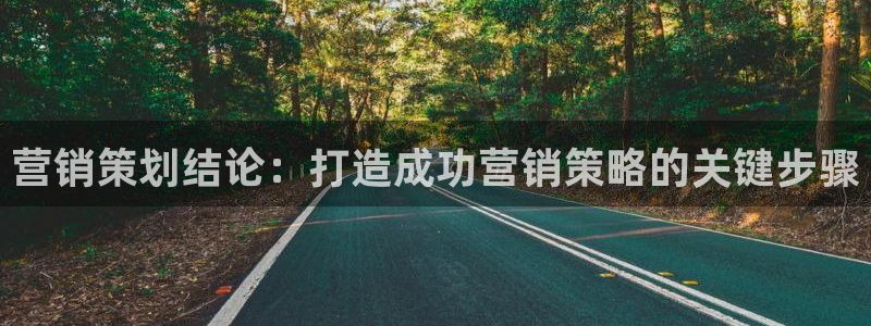 必赢网站是多少啊