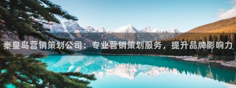 必赢官网入口下载安装