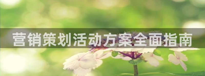 必赢客官方