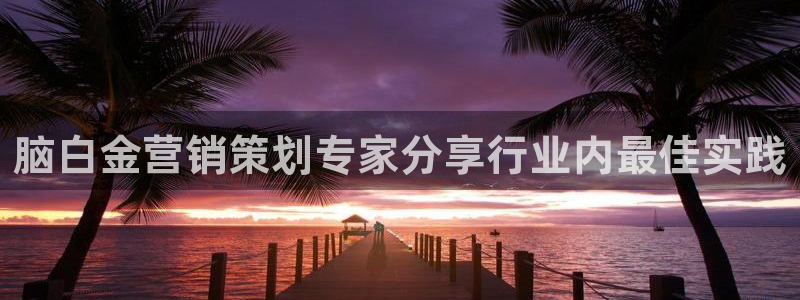 必赢网址手机主页打不开