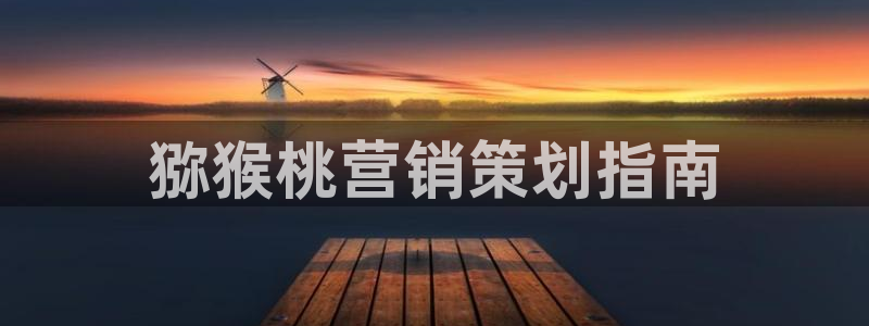 必赢科技有限公司