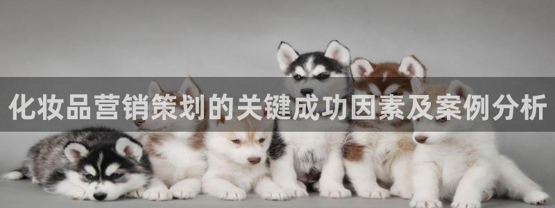 必赢游戏城