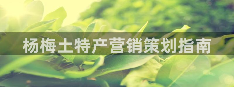 必赢官网网站入口网址