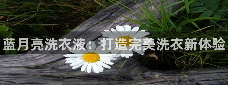 必赢平台官方网站