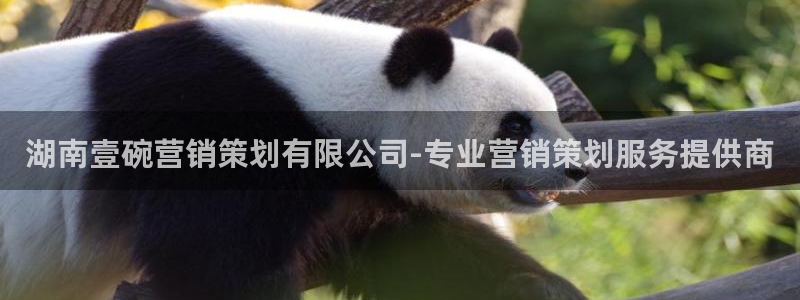 必赢手机app下载