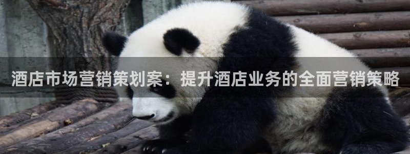 必赢手机版官网