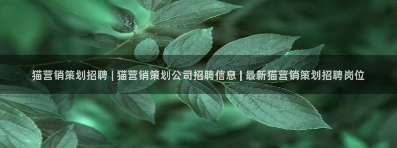 必赢手机app下载 最新版苹果