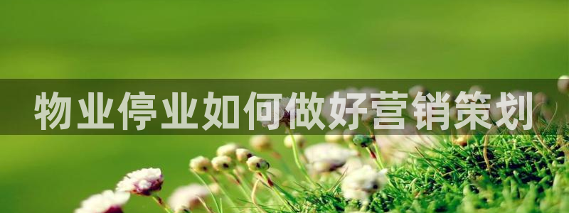 必赢这个软件怎么样知乎