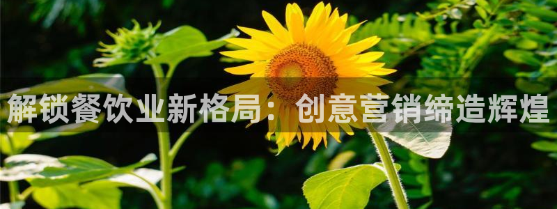 数三十游戏必赢技巧
