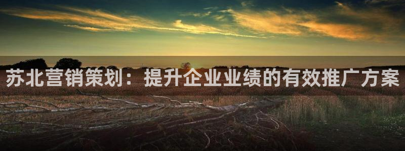 必赢国际app下链接