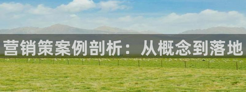 必赢国际437官网版