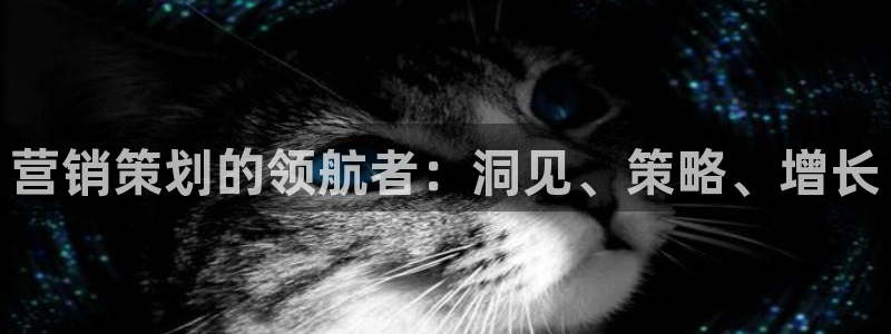 必赢网站是哪一个平台