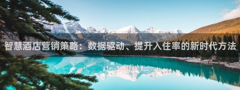 必赢72886网址多少啊