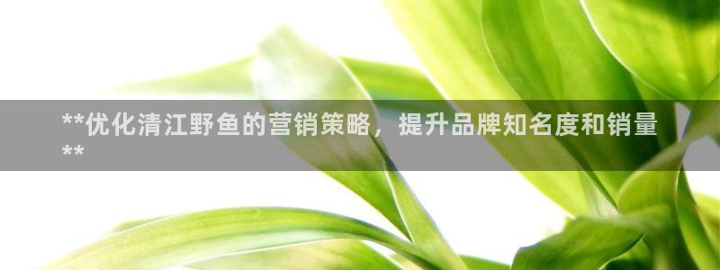 必赢手机app下载最新版安卓苹果