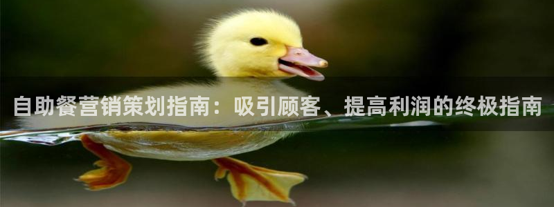 95必赢网址多少
