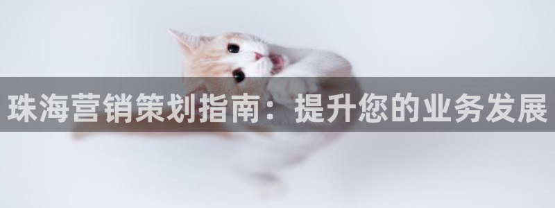必赢亚赢网站官网下载手机版安装