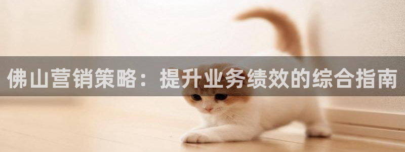 必赢官网入口下载安装