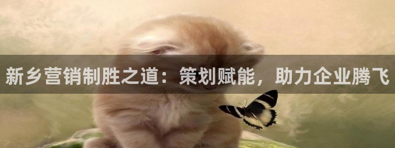 必赢平台电子
