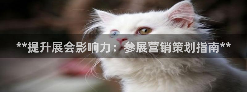 必赢手机app下载最新版安卓苹果