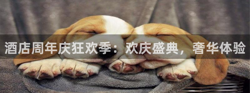 必赢这个平台怎么样啊