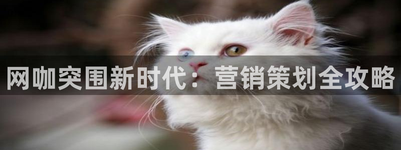 必赢平台官方网站
