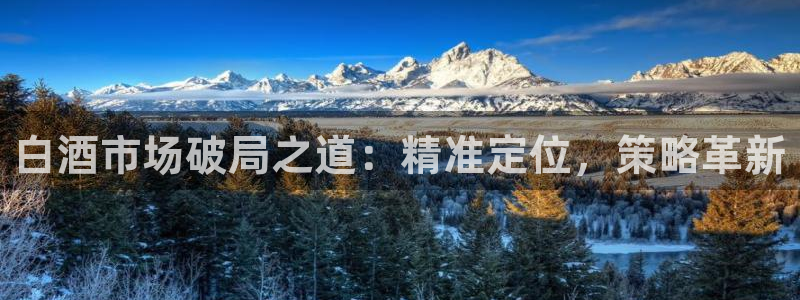 必赢app官方网站
