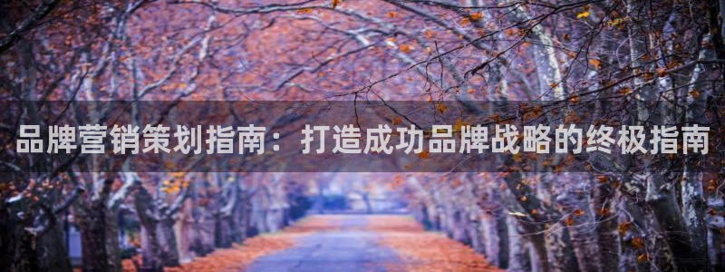 必赢这个软件怎么样