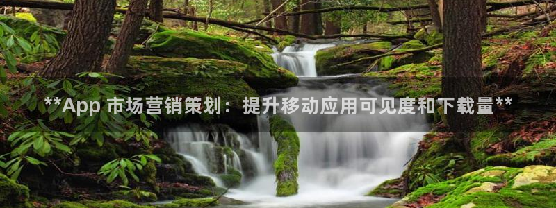 必赢客软件