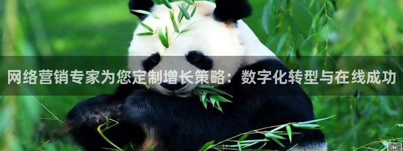 必赢棋盘官网版