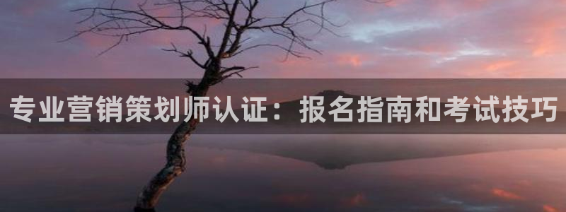 必赢亚赢网站官网下载手机版安卓