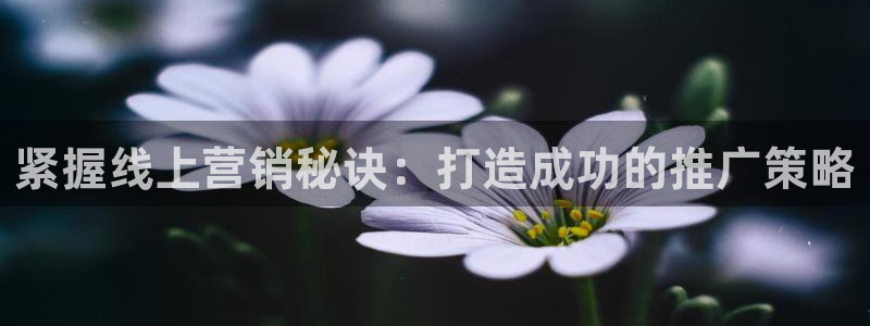 必赢下载软件