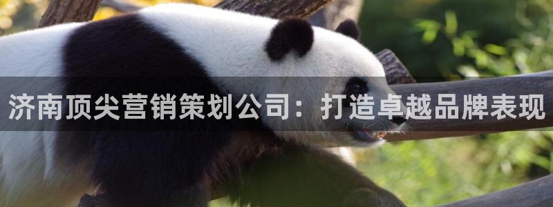 必赢国际app最新官网